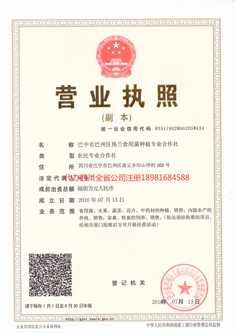 营口营口伟兰食用菌种植专业合作社